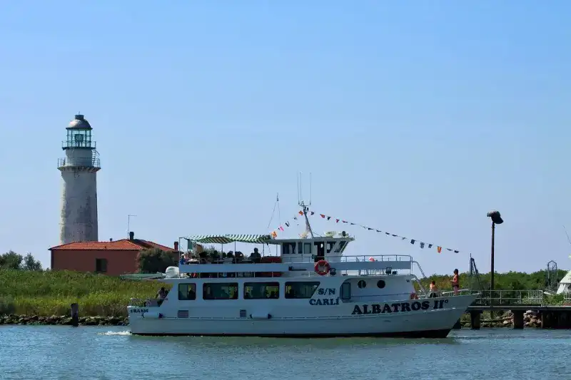 Foto Nr.