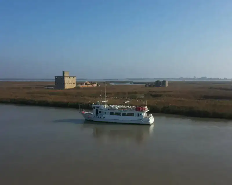 Foto Nr.