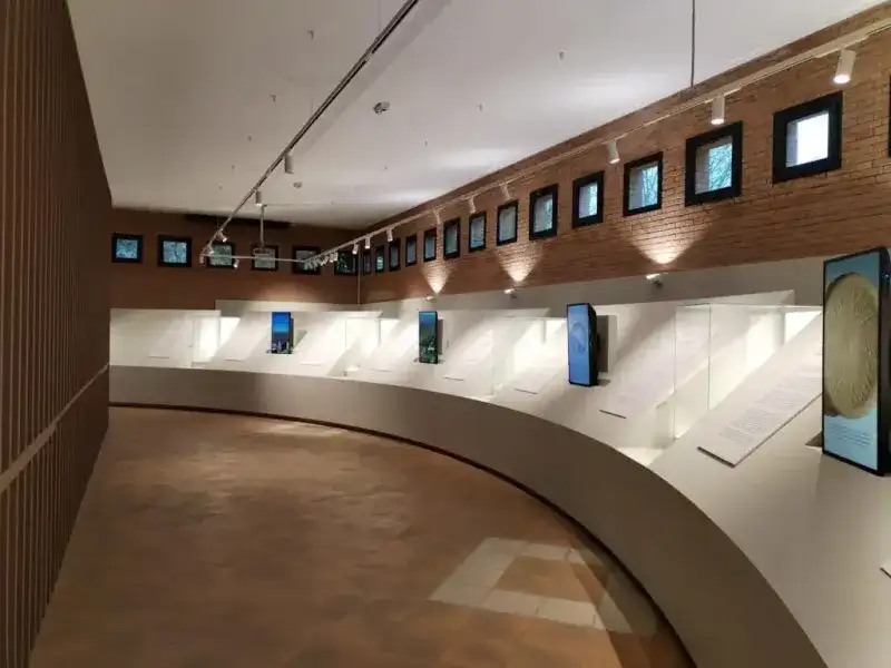 Foto Nr.