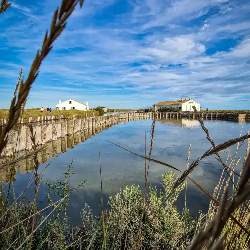 The Comacchio Lagoons by Boat
