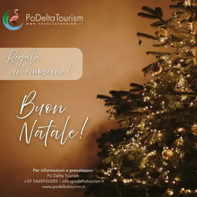 Regalo Natale