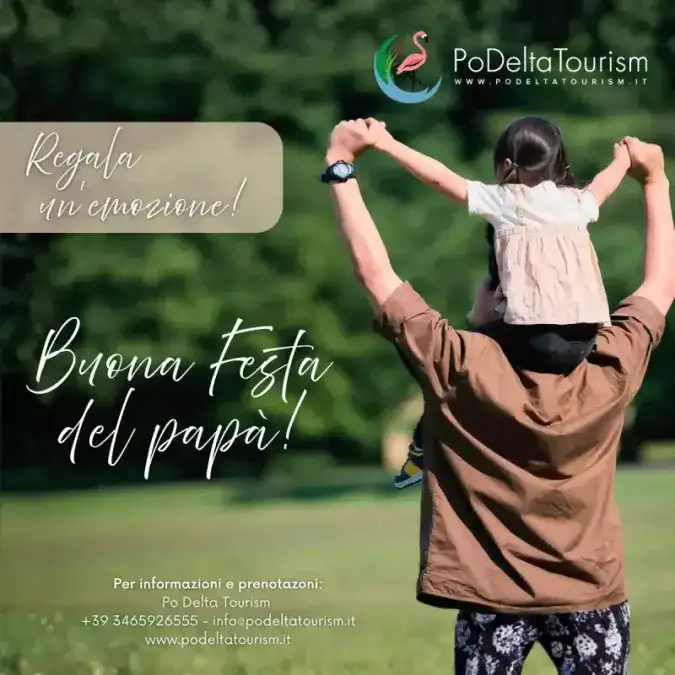Regalo festa del papà