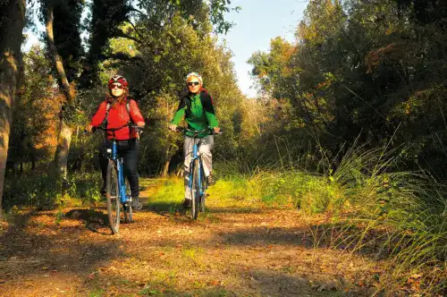 Due ruote nel Bosco